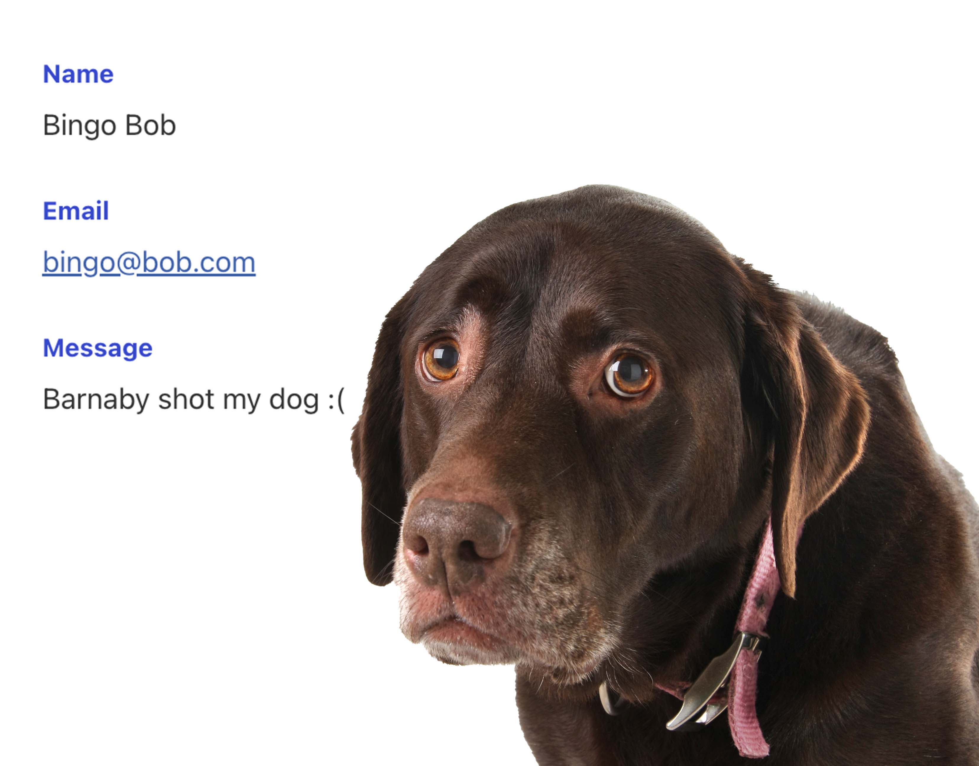 Certificate of Completion